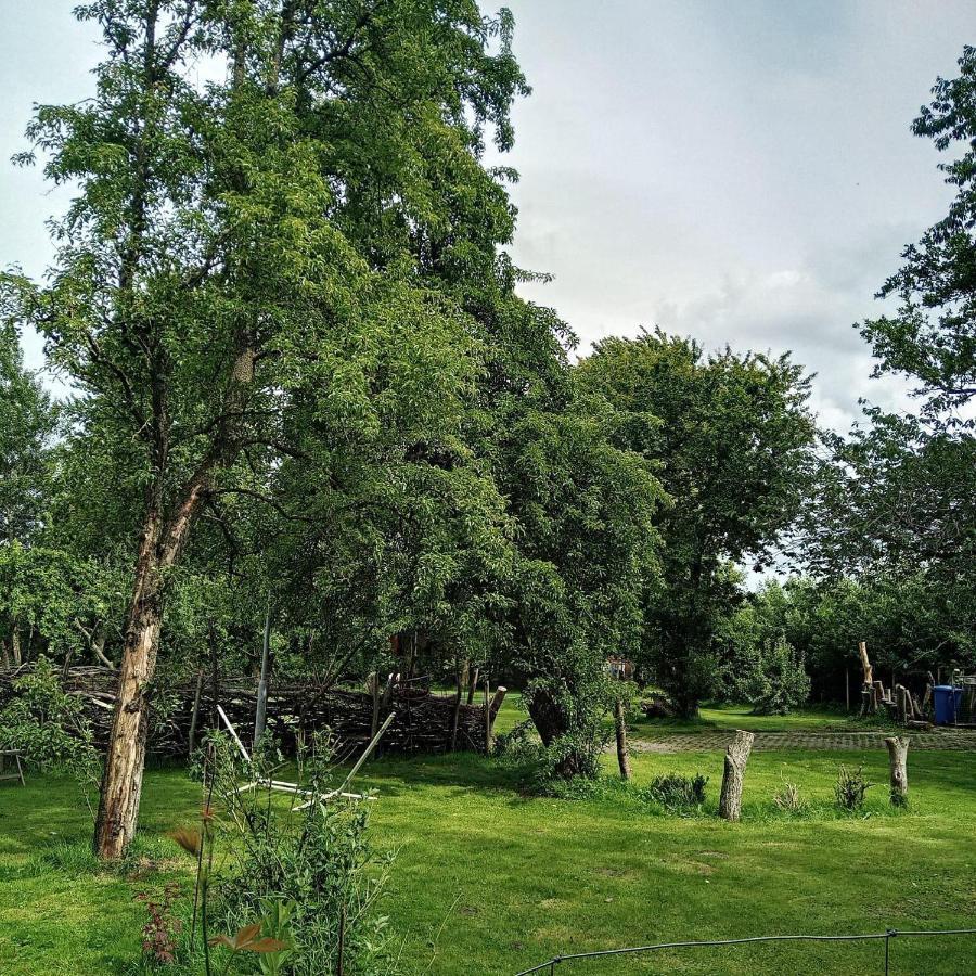 Ferienwohnung-Im-Karolinenkoog-Erholung-Zwischen-Feld-Und-Deich Buitenkant foto