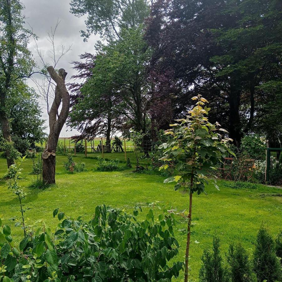 Ferienwohnung-Im-Karolinenkoog-Erholung-Zwischen-Feld-Und-Deich Buitenkant foto